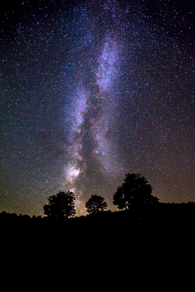 silhouette of trees under milky way galaxy